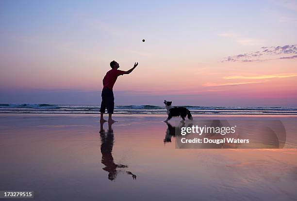 man throwing ball for dog. - dog and ball photos et images de collection