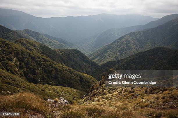 Tararua Ranges Walk 47 Tararua Ranges Stock Photos, High-Res Pictures, and Images - Getty ...