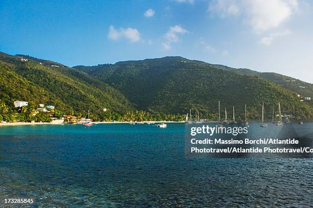 view of cane garden bay, tortola, british virgin islands - cane garden bay foto e immagini stock