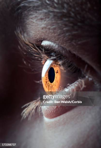 close up of human eye - menschliches auge stock-fotos und bilder