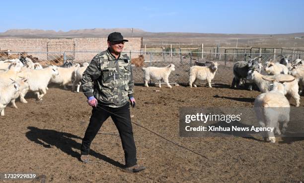 58 Otog Banner Stock Photos, HighRes Pictures, and Images Getty Images