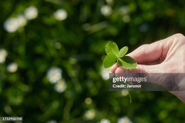 Cloverleaf 238 Partial Cloverleaf Stock Photos, High-Res Pictures, and Images ...
