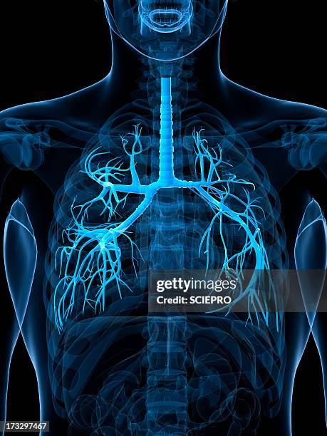 2 0点の吸い込むイラスト素材 Getty Images 2 0点の吸い込むイラスト素材 Getty Images