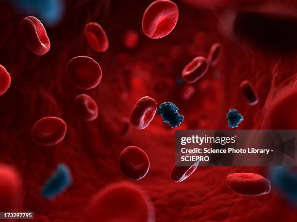 circulating insulin, artwork - metabolismus stock-grafiken, -clipart, -cartoons und -symbole