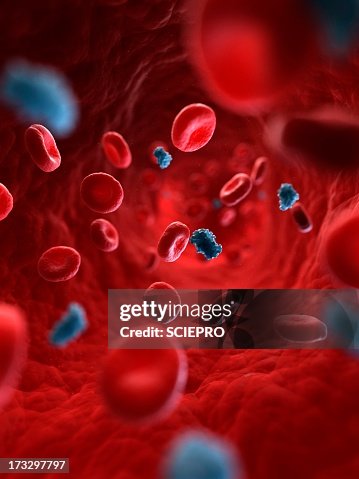 Circulating insulin, artwork Circulating insulin, artwork