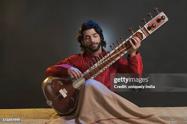 musician playing a sitar - sitar photos et images de collection