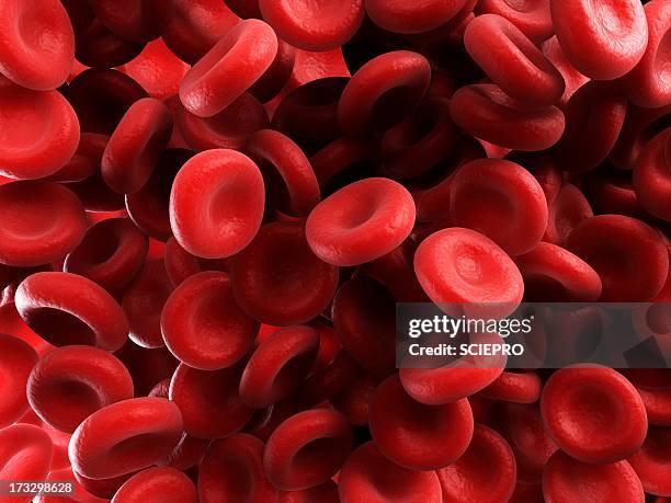 red blood cells, artwork - rotes blutkörperchen stock-grafiken, -clipart, -cartoons und -symbole
