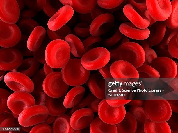 red blood cells, artwork - blood cell stock-grafiken, -clipart, -cartoons und -symbole