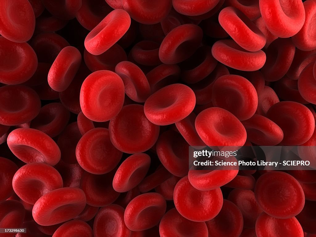 Red blood cells, artwork