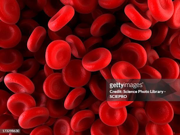 red blood cells, artwork - blood stock illustrations