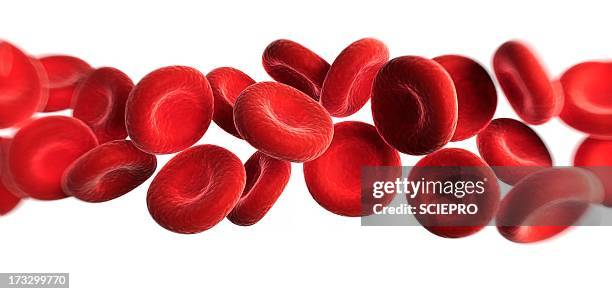 ilustraciones, imágenes clip art, dibujos animados e iconos de stock de red blood cells, artwork - globulos rojos humanos