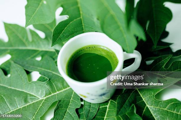 dengue: home remedy papaya leaf juice. - papaya leaf photos et images de collection