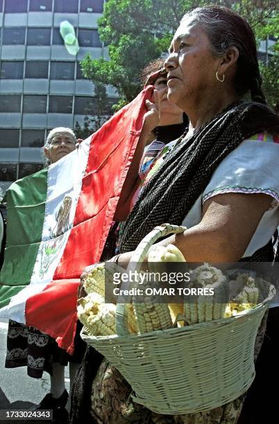 Farmer woman , member of the National Council of Indigenous Towns, carries Mexican flag with another women during a march in Mexico City, Mexico, 12...