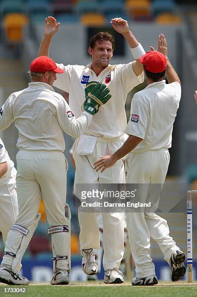 Mark Harrity of the Redbacks celebrates the wicket of Stuart Law of the Bulls during the Pura Cup match between the Queensland Bulls and Southern...