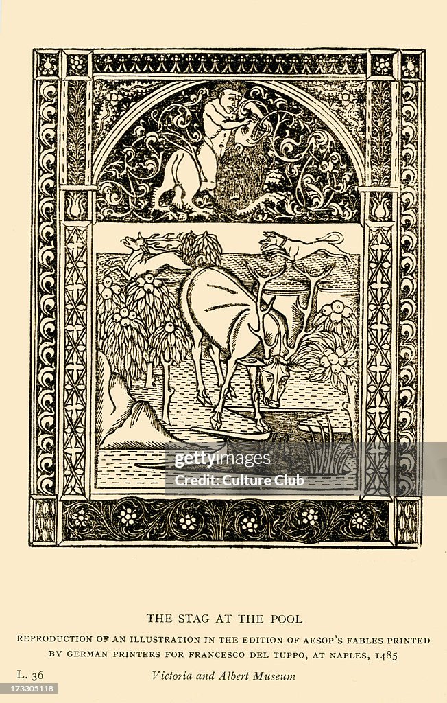 Aesop 's fables: the Stag at the Pool.