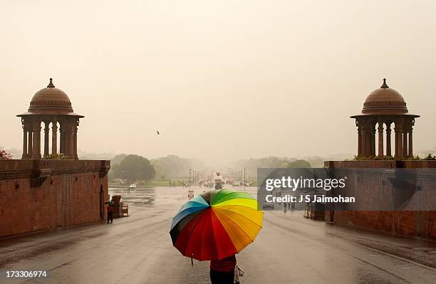 rashtrapati bhavan - palácio presidencial rashtrapati bhawan imagens e fotografias de stock