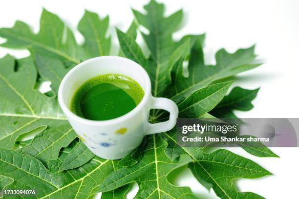 ayurvedic treatment in dengue, papaya leaf juice. - clorofila fotografías e imágenes de stock