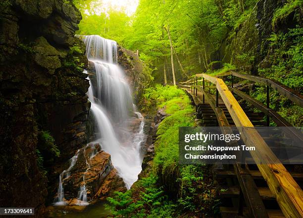 water falls in the flume - new hampshire stock pictures, royalty-free photos & images