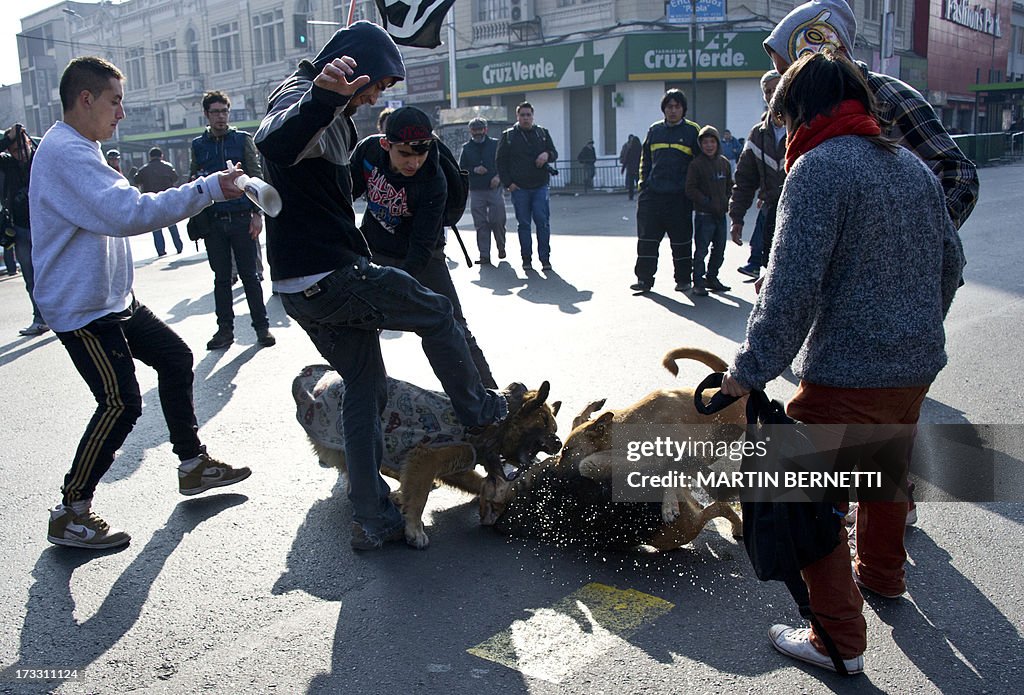 CHILE-PROTEST-DOGS