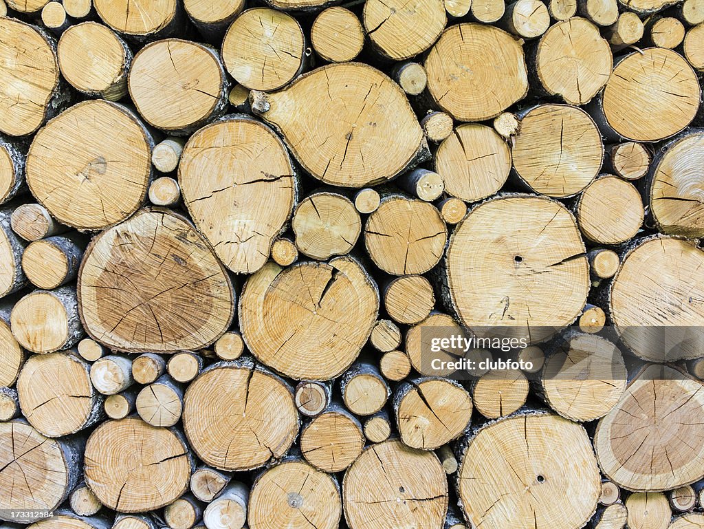 Timber woodpile