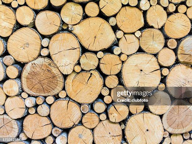 timber woodpile - tree rings stock pictures, royalty-free photos & images