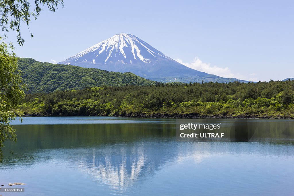 Mt. Fuji reflected in lake, saiko