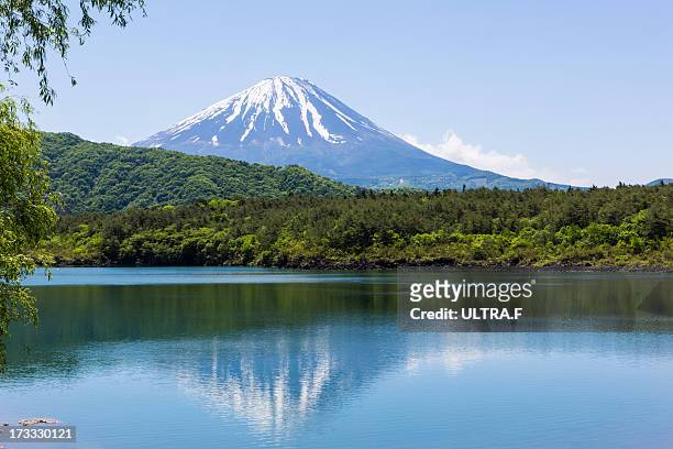 mt. fuji reflected in lake, saiko - yamanashi prefecture 個照片及圖片檔