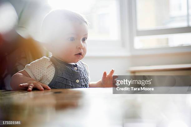 toddler starting to walk - primi passi foto e immagini stock