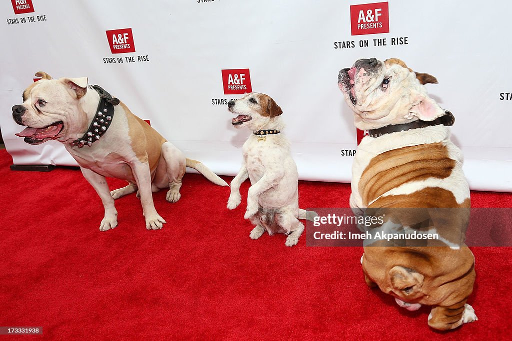 Abercrombie & Fitch Co. Presents Their 2013 Stars On The Rise! - Arrivals