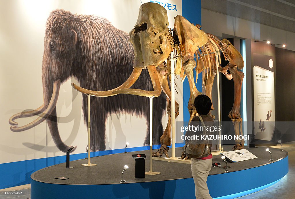 JAPAN-MAMMOTH-ANIMAL-EXHIBITION