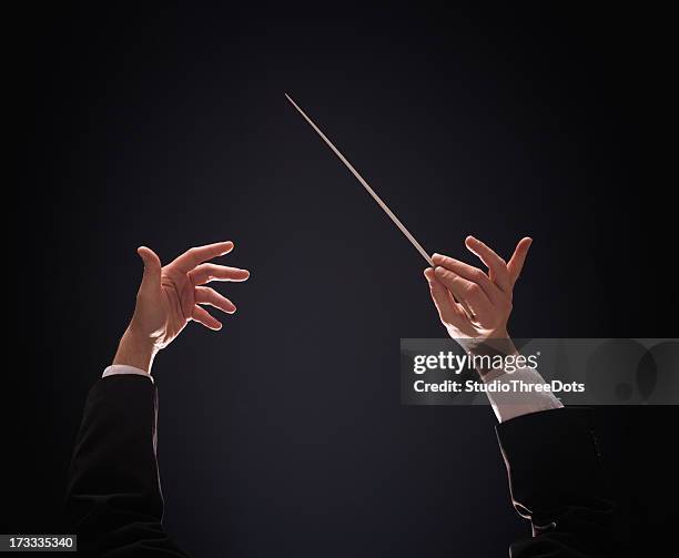 conducting buttons - dirigent stockfoto's en -beelden