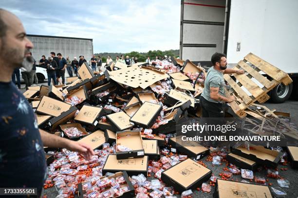 Winegrowers unload tomatoes from a lorry during a road blocking demonstration to protest against imports of Spanish wine, on the motorway at the toll...