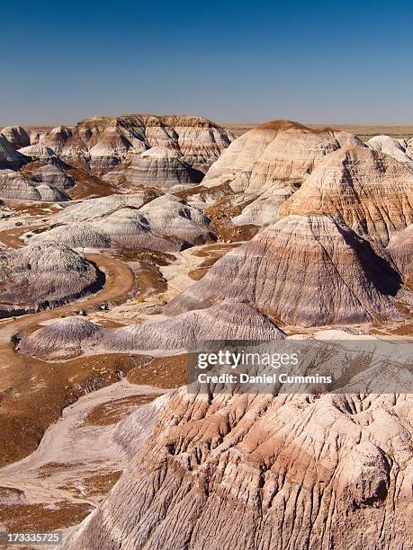 blue mesa - the petrified forest national park stock pictures, royalty-free photos & images