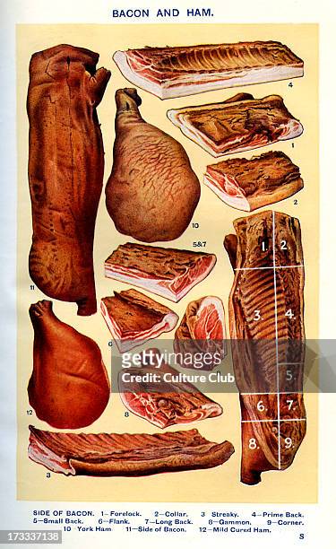 Mrs Beeton 's cookery book - bacon and ham : Forelock, Collar, Streaky, Prime - back, Small back, Flank, Long back, Gammon, Corner, York ham, Side of...