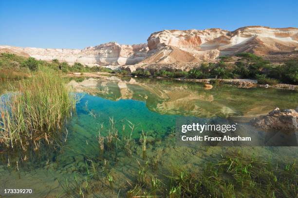 water in wadi - dhofar stock pictures, royalty-free photos & images