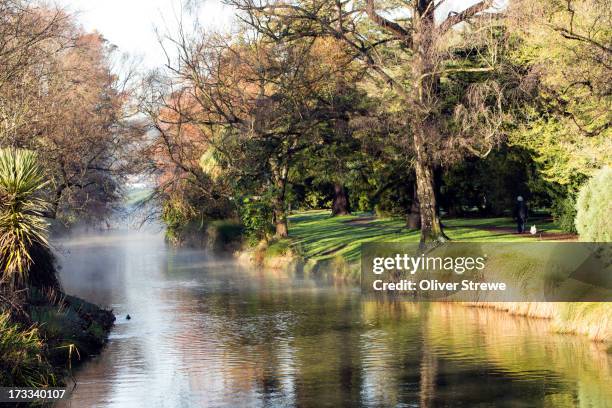 avon river - hagley park stock pictures, royalty-free photos & images