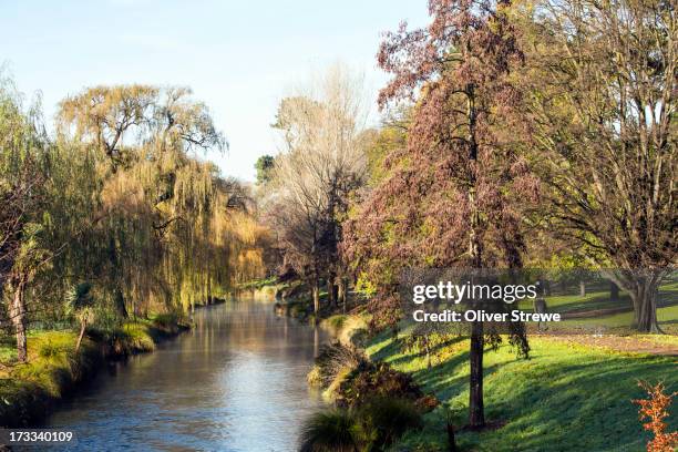 avon river - canterbury region new zealand stock pictures, royalty-free photos & images