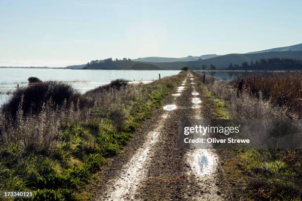 little river rail trail cycle trail - christchurch - new zealand stock pictures, royalty-free photos & images