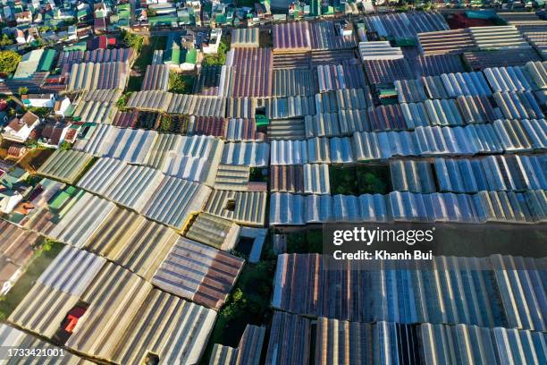 drone view of greenhouse farms in the sunlight at dawn, they plant organic vegetables and flowers in there - occupational health and safety stock pictures, royalty-free photos & images