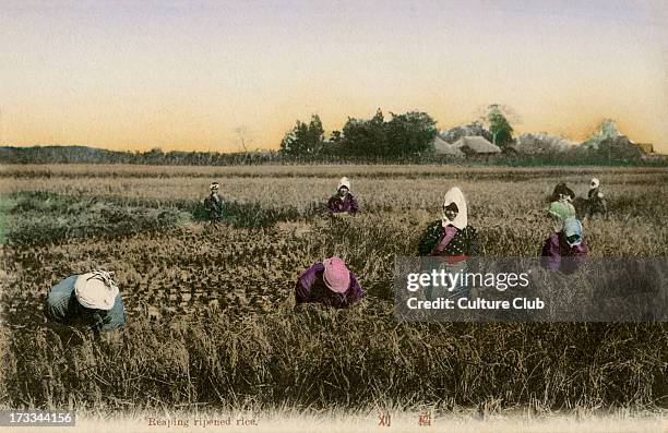 Japanese Rice Worker 1,389 Japanese Rice Hat Stock Photos, High-Res Pictures, and Images ...