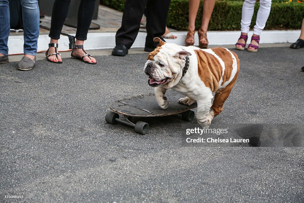 Abercrombie & Fitch 2013 Stars On The Rise Event - Arrivals