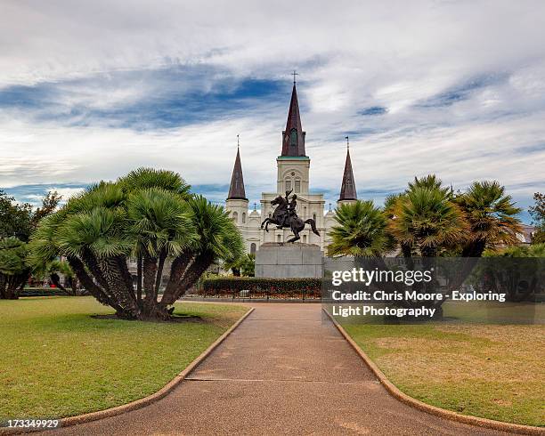 st. louis cathedral - st louis cathedral new orleans 個照片及圖片檔