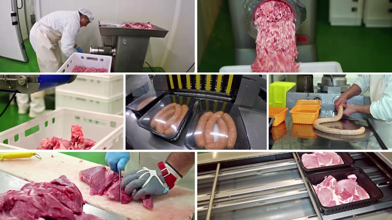 Meat Processing Screen Meat Processing Plant - Multi Screen Video 동영상 (1733532245) - 게티이미지뱅크