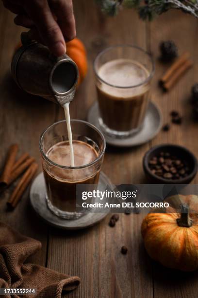 homemade pumpkin spice latte coffee with cinnamon and milk - café con leche con especias de calabaza fotografías e imágenes de stock