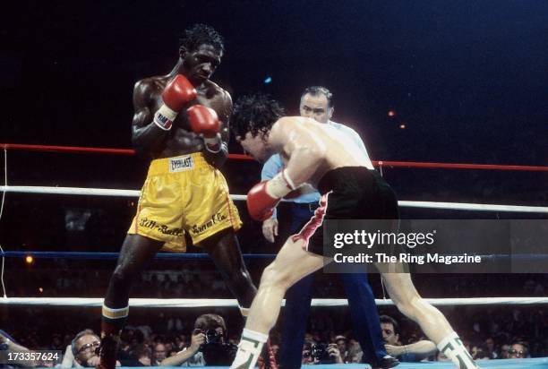 1,163 Ray Mancini Photos & High Res Pictures - Getty Images