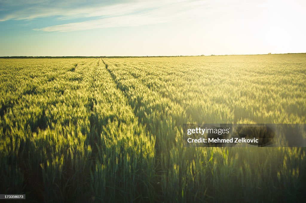 Beautiful Countryside