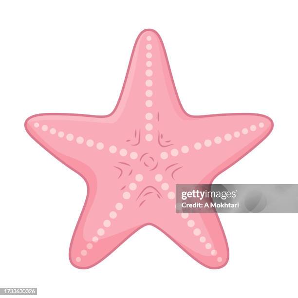 starfish illustration. - starfish stock illustrations