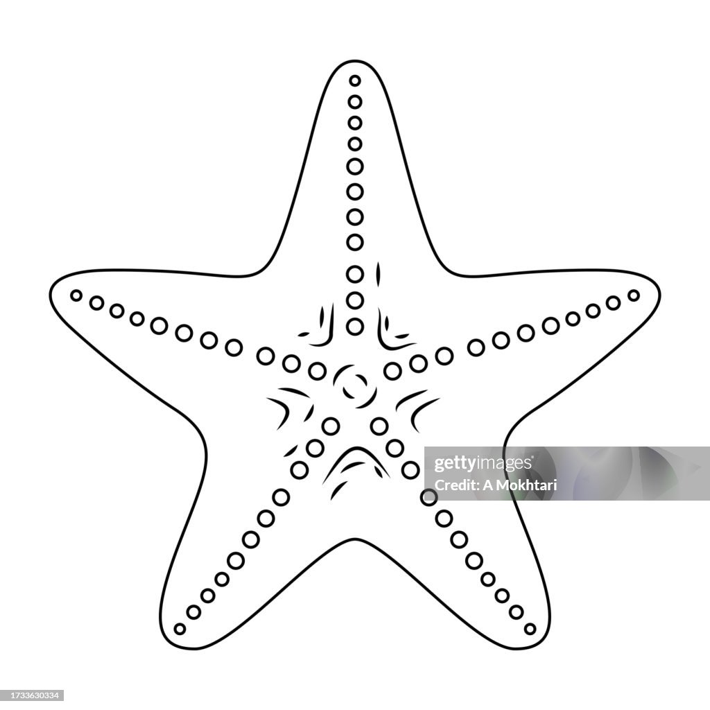 Starfish icon.