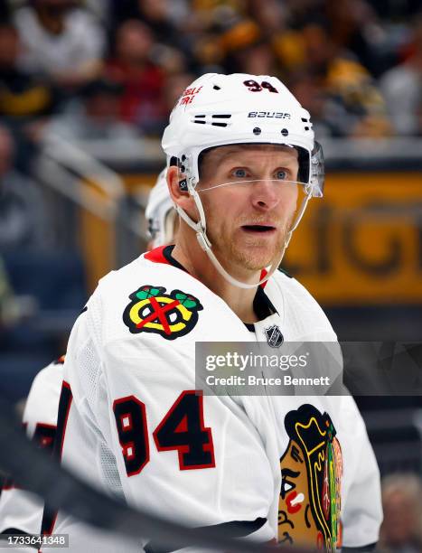 Corey Perry Rookie 9,090 Corey Perry Photos Stock Photos, High-Res Pictures, and Images ...