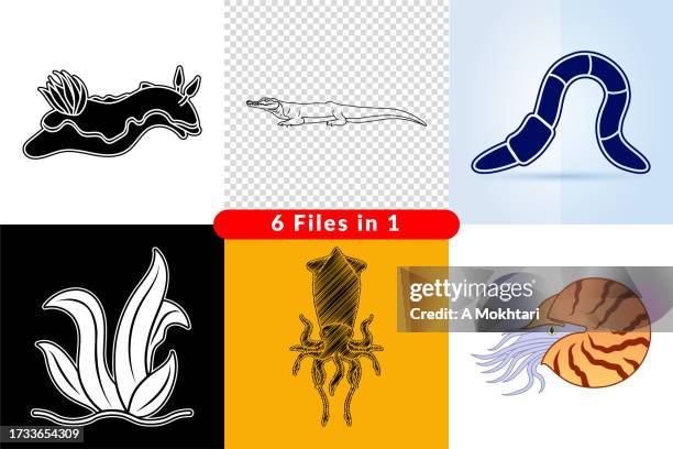 set of illustrations and icons of the marine world. - cuttlefish stock illustrations